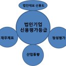 해밀경영컨설팅 이미지