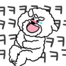 HC모터스 이미지