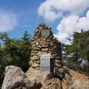 곡성-256 Daum카페