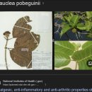 Re: 항생제 내성 퇴치를 위한 유망한 전략으로서의 항생제 증강제(한약탐구) 2025 네이처!! 이미지