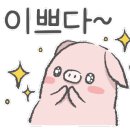 엠엠피 이미지