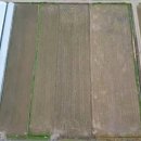 화순믿음공인중개사사무소 이미지