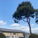 궁도장 열무정 이미지