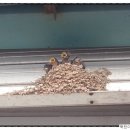 세연정모텔 이미지