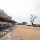 스페이스 01 | 제주도 애월 카페 데이트코스 스페이스컵 메타몽 애월읍 여행 가볼만한곳