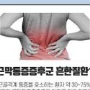 등이 아픈 이유 등통증 원인과 대처 방법 이미지