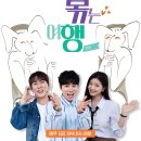 정숙네민박 | 고독의 1시간 발동?! 4기 영수 폭탄선언에 정숙 오열… 인도편 초대형 결말