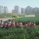 리더아이어린이집 이미지