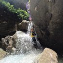 현지 | 세부 오슬롭 고래상어 투어 캐녀닝 준비물 모알보알 현지 후기