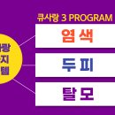큐사랑 네이버블로그