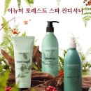 포레스트스파 이미지