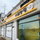 우리소농장 | 남양주 파충류샵 수염농장 분양 후기