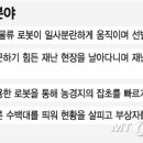 벌떼유통 이미지