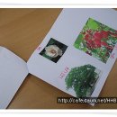 청주시립상당도서관 겨울방학 특강모습 - 식물들의 겨울나기(독서통합북아트) 이미지