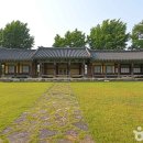 홍산향교 은행나무 이미지