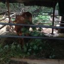 키우소농장 이미지