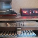 청계슈퍼 이미지