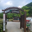 에코야영장 | [치악산 금대야영장 캠핑 후기] 국립공원 속 여유 가득한 자연 캠핑!