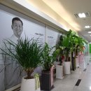 백승호치과의원 이미지