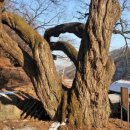 나무교역 이미지