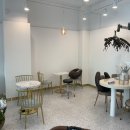 하이헤어샵 이미지