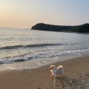 바다산책 이미지