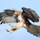 워시체인 이미지