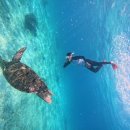 현자농장 | [필리핀 보홀 5박 6일 여행] 보홀 5박 6일 여행 일정 및 2인 경비 총정리