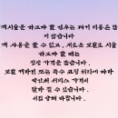 호비바버헤어 이미지