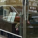 와니살롱 이미지