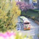 당항포관광지 이미지