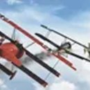 도그 에이스 이미지