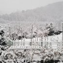 진안-진안-비상-27 이미지