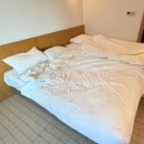 제주엠 | 제주 호텔 더 엠 이용 후기... 서귀포 엄청 저렴한 호텔.