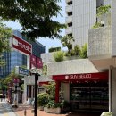 선(SUN) 네이버블로그