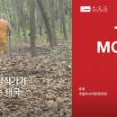 < This Moment : 태국 > 이미지