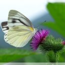 원희공인중개사사무소 이미지