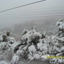 둔내통나무집 이미지