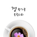 대지샾 이미지