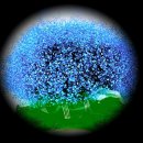 아침햇살 이미지