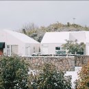 벵디1967 이미지