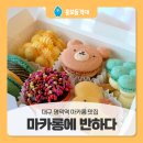 마카롱에반하다