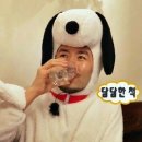 일산 ppo네일 손톱 연장 후기｜여름 맞이 연장 네일 솔직 리뷰