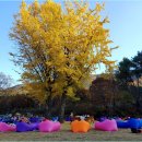 가야산 관광펜션 | 성주 가야산생태탐방원 &#39;자연의집&#39;, 5만 원도 안 되는데... (솔직한 단점 포함)