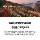 2025년곡성세계장미축제 즐기기(5월16일~25일)-기본정보초대가수공연,역사,볼거리,먹거리맛집,포토존...