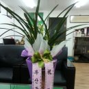부산등산