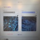이탈리아헤어시스템 | 대치동 미용실 헤어숨 : 두피스파 후기 AI 두피진단 결과 공개