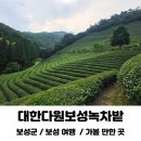 대한다원화장실 | 전남 보성 가볼만한곳 추천 대한다원보성녹차밭 주차장 입장료 후기
