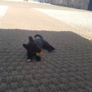 미르유치원 이미지