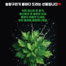 솔방구리삼겹살